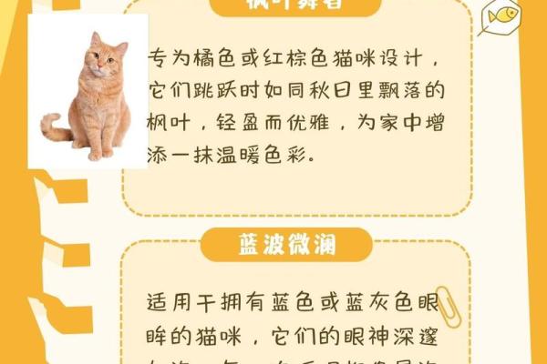 让你的猫咪与众不同的好听名字 让你的猫咪与众不同的好听名字