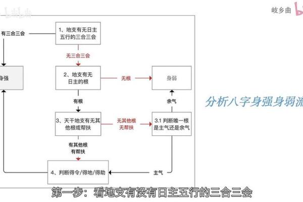 揭秘八字从旺格：如何通过命理改善运势，提升人生走向