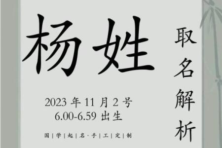 杨姓宝宝起名推荐与技巧解析