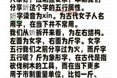 嵩字五行解析：揭示其五行属性与命理影响