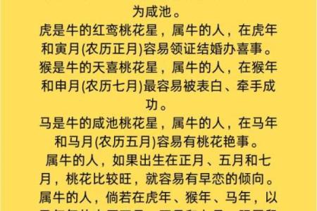 属牛人感情运势如何