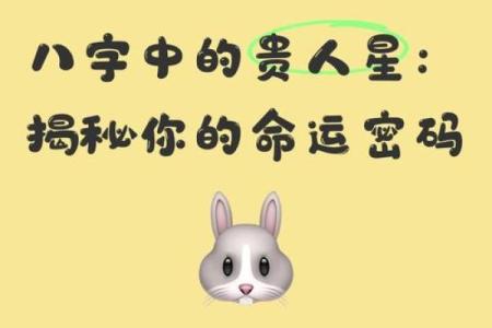 八字中贵人是什么？揭秘命理中的贵人星如何影响你的运势