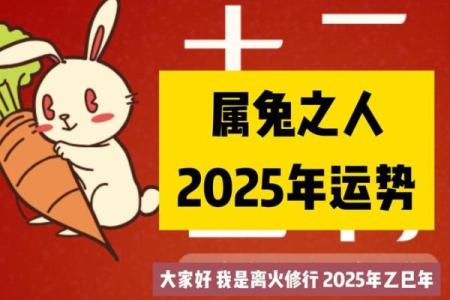 兔年各生肖运势大揭秘，属兔者要注意什么