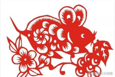 鼠年每月运势走向，哪些月份适合做决策