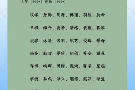 探索名字背后的深刻含义与文化价值