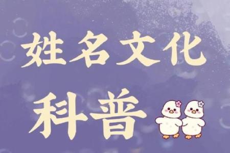 忧郁名字背后的深刻含义与文化象征