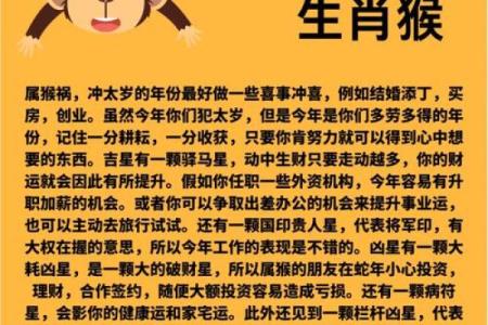 属猴人的运势解析：财运、事业与感情大揭秘