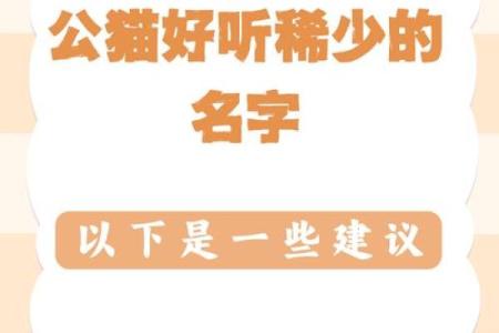 让你的猫咪与众不同的好听名字