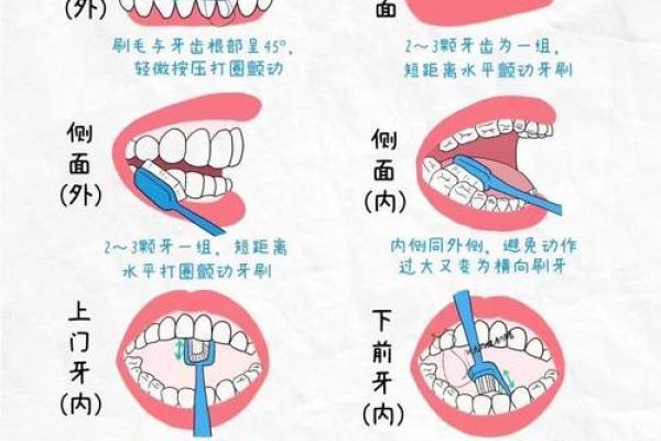 牙齿健康与五行的深层关系 牙齿健康与五行的深层关系