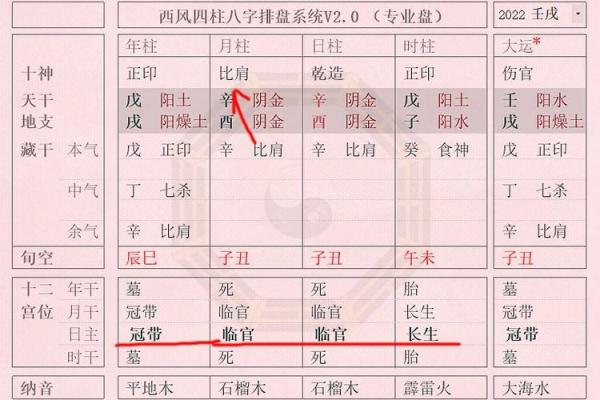 生辰八字准吗？揭秘如何通过八字判断命运走势