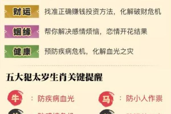 风水树如何助力办公室事业运势提升