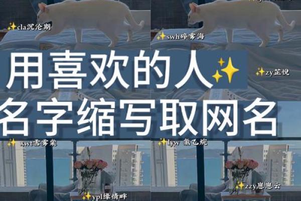 如何为网络角色取一个独特且有吸引力的名字 如何为网络角色取一个独特且有吸引力的名字