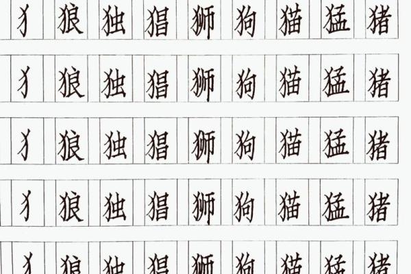 八字偏旁的字有哪些？这几个字你一定见过！
