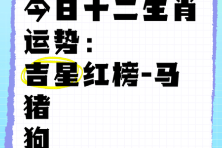猴年马运程运势指南：抓住好运的关键时刻