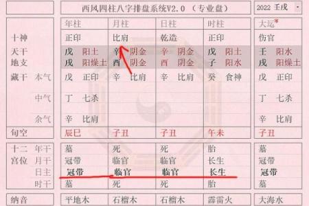 生辰八字准吗？揭秘如何通过八字判断命运走势