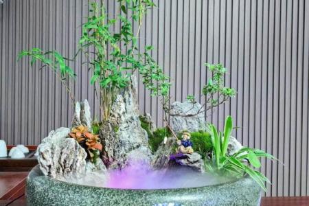 如何通过假山风水布局优化家庭气场