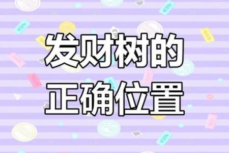 风水树如何助力办公室事业运势提升
