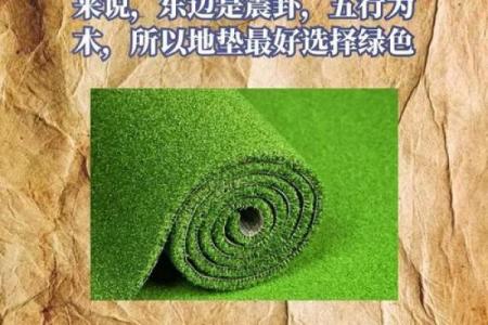 仙人球在办公室风水中的正面影响与摆放技巧