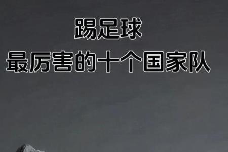 如何选择一个能代表球队精神的名字