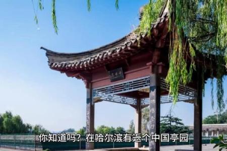 探索亭子名称的独特魅力与文化底蕴