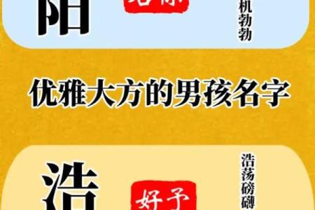 优雅且有魅力的好听男孩名字推荐