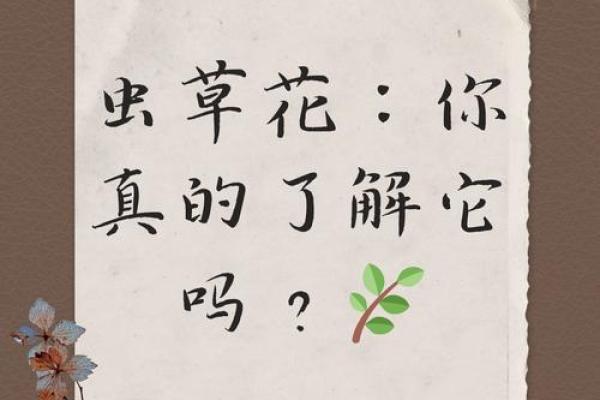 五行粉的神秘面纱：了解它的历史背景与实际应用
