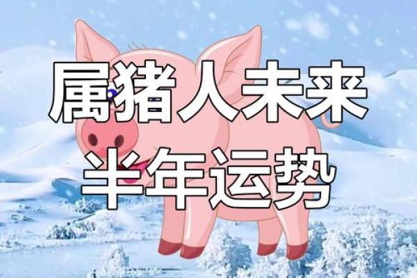 属猪人运势变化与应对策略 属猪人运势变化与应对策略