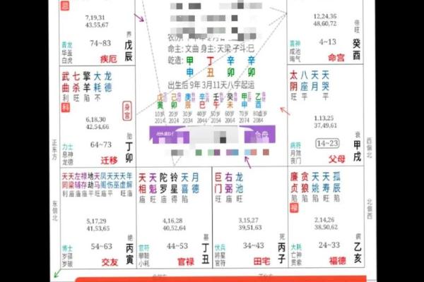 想知道未来如何？试试生辰八字测算软件