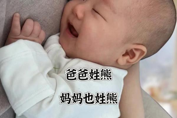 熊姓女孩名字精选 温柔与智慧并存的完美选择 熊姓女孩名字精选 温柔与智慧并存的完美选择