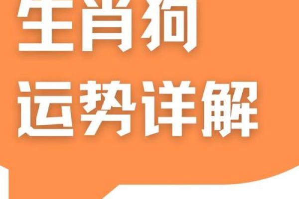 属狗人运程如何应对挑战与机遇 属狗人运程如何应对挑战与机遇