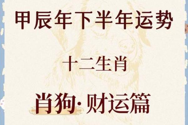 属狗人运程如何应对挑战与机遇 属狗人运程如何应对挑战与机遇