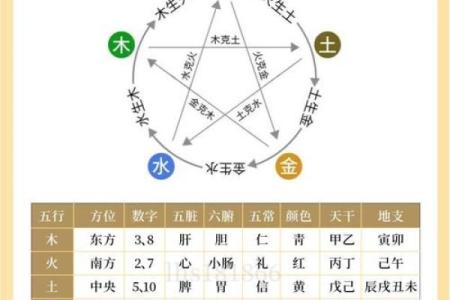 五行中“而”属什么？揭开五行之谜