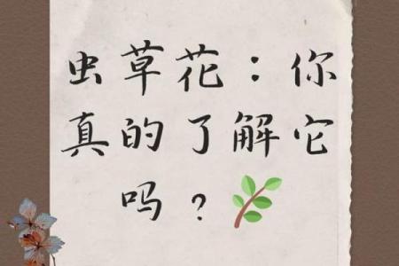 五行粉的神秘面纱：了解它的历史背景与实际应用