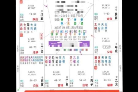 想知道未来如何？试试生辰八字测算软件