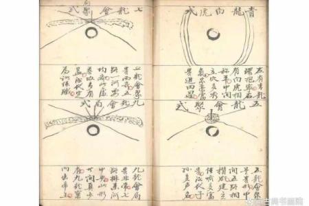 探索大陆风水领域的权威大师与其独特技艺