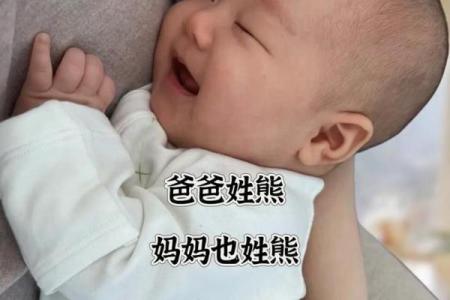 熊姓女孩名字精选 温柔与智慧并存的完美选择