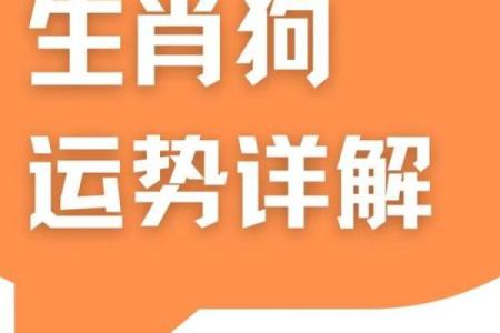 属狗人运程如何应对挑战与机遇