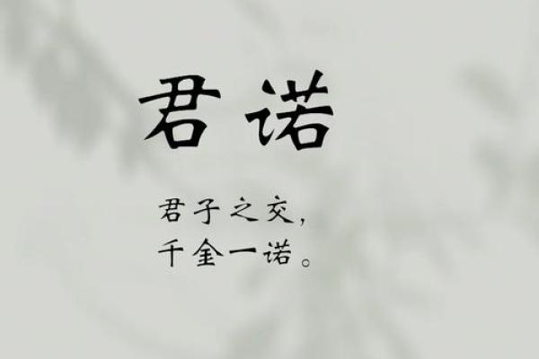 个体贸易公司起名创意大全助你打造独特品牌 个体贸易公司起名创意大全助你打造独特品牌