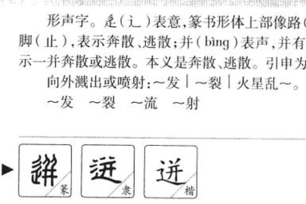 骄字五行属性解析，揭开其命运之谜