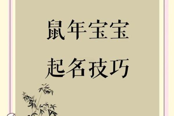 金鼠年女宝宝起名的最佳选择与技巧