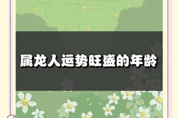 龙年运程详解,如何优化财运与人际关系 龙年运程详解,如何优化财运与人际关系