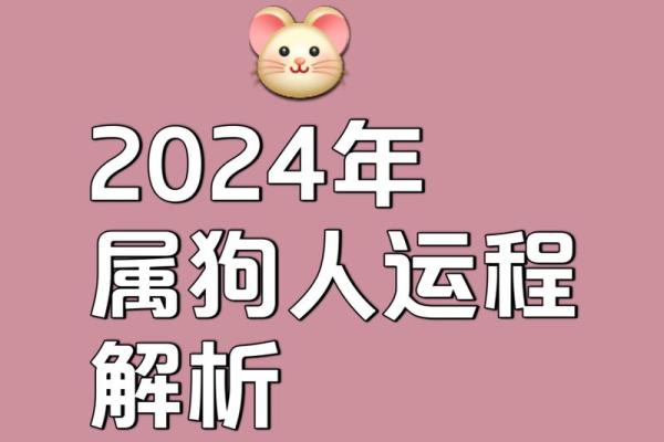 属狗人的运势变化:从事业到爱情的全方位影响 属狗人的运势变化:从事业到爱情的全方位影响