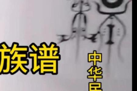 杨氏名字背后的文化符号与故事