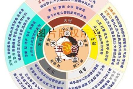 骄字五行属性解析，揭开其命运之谜