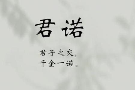 个体贸易公司起名创意大全助你打造独特品牌