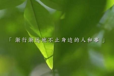 农历消失，是否意味着我们与历史渐行渐远？