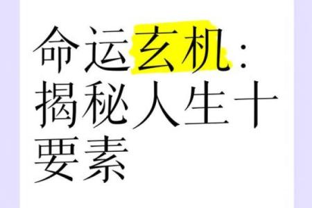 算五行命格，揭示你的命运玄机和人生方向