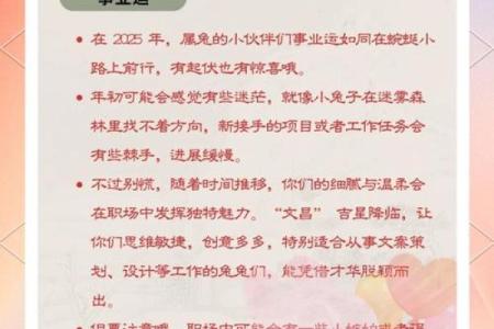 属兔人创业公司命名建议