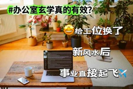 如何在办公桌上养鱼以增强事业运