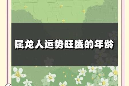 龙年运程详解，如何优化财运与人际关系